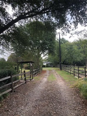 a view of park with trees