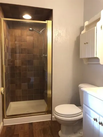 a bathroom with a shower and a toilet