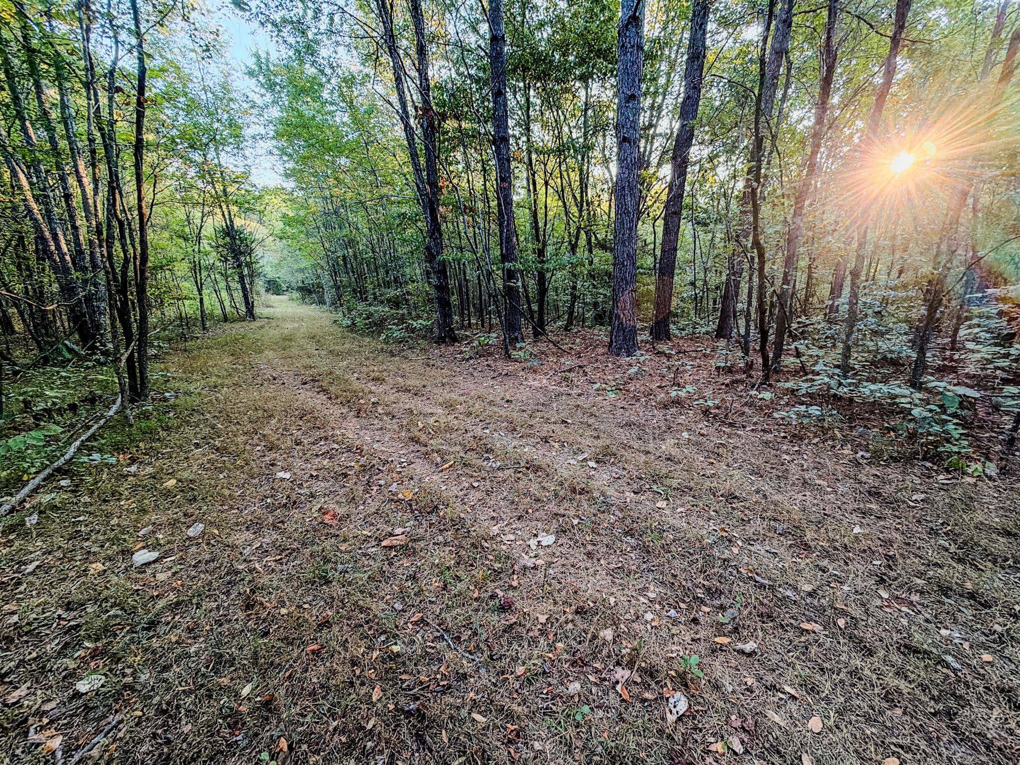 360 Long Branch Road Lawrenceburg, TN 38464 - Photo 42 of 52 Gallery Image 42