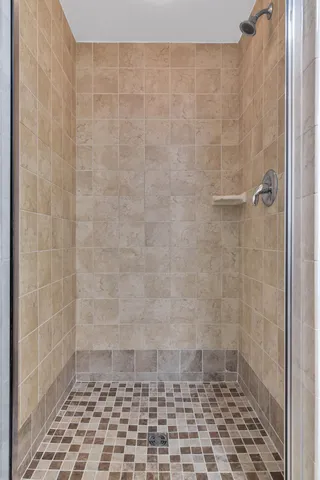 a view of a park that has a large trees and plants