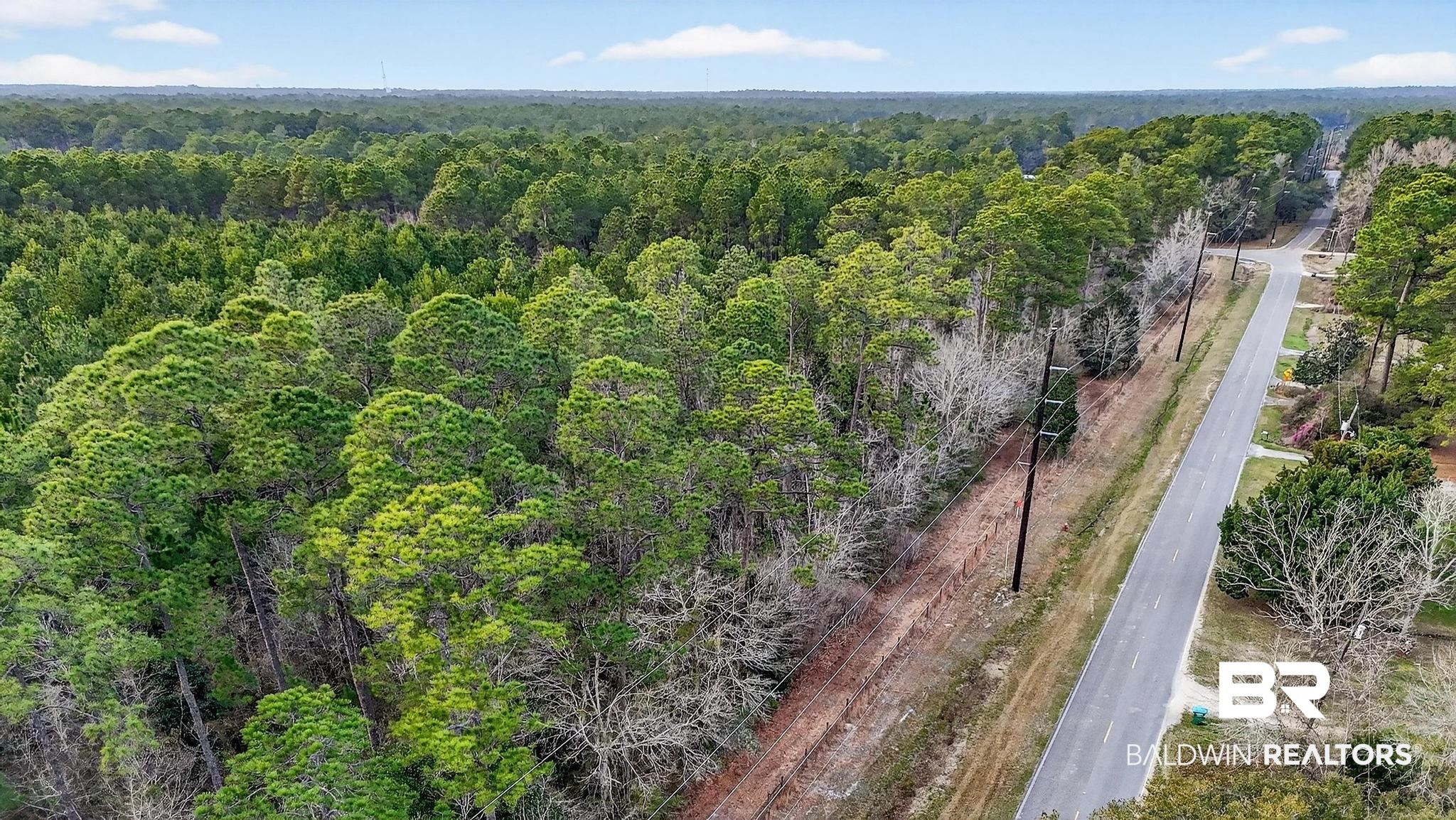 0 Hemley Road Bayou La Batre, AL 36509 - Photo 7 of 28