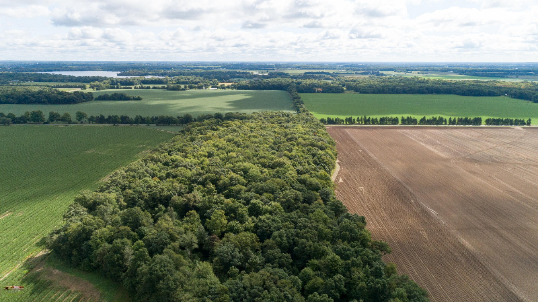 52400 Lang Road Three Rivers, MI 49093 - Photo 62 of 84 52400 Lang Rd-64