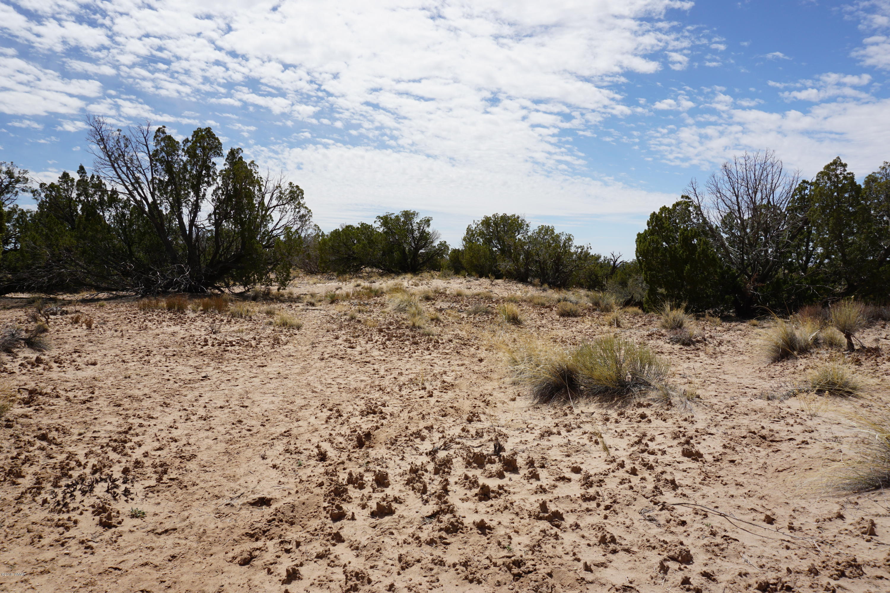 18 T20 R28 Chambers, AZ 86502 - Photo 22 of 29