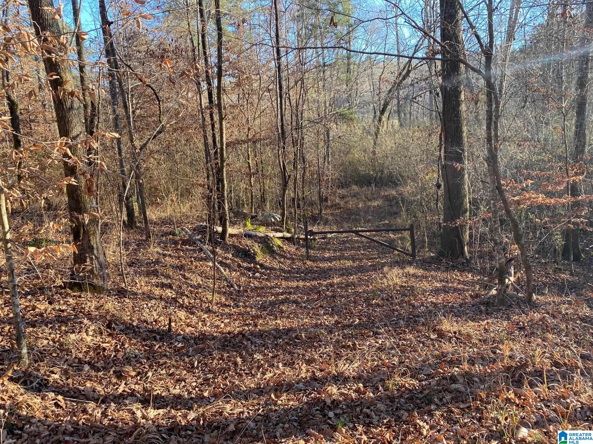7550 Deer Haven Road, Unit 578 / AC Springville, AL 35146 - Photo 19 of 45 Gallery Image 19