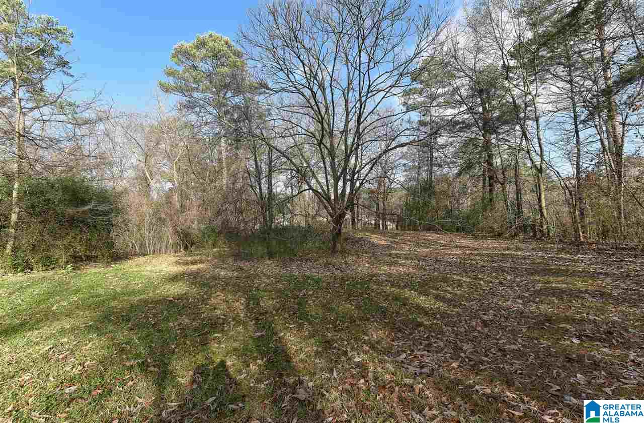 247 Tarrant Road Gardendale, AL 35071 - Photo 46 of 50
