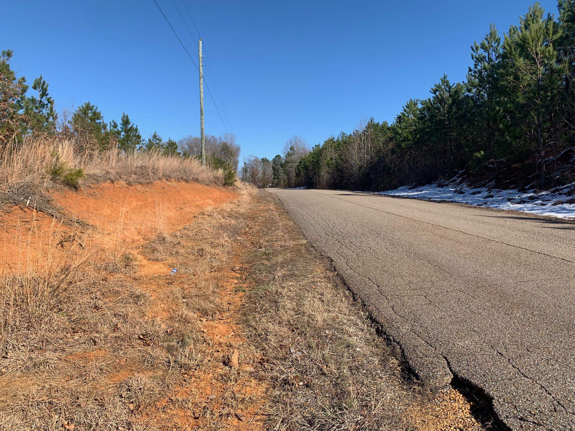 Sandy Flatt Road Selmer, TN 38375 - Photo 4 of 4 Gallery Image 4