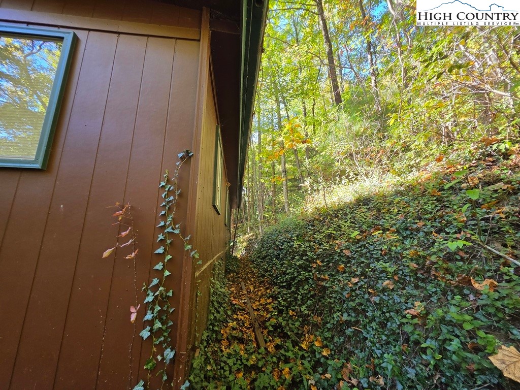 4091 Big Ivy Road Purlear, NC 28665 - Photo 24 of 40 a bathroom with a shower curtain and a plant