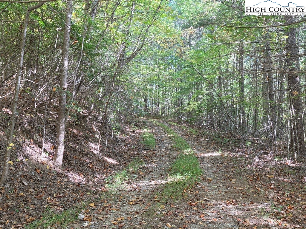 4091 Big Ivy Road Purlear, NC 28665 - Photo 28 of 40 a backyard of a house with lots of green space