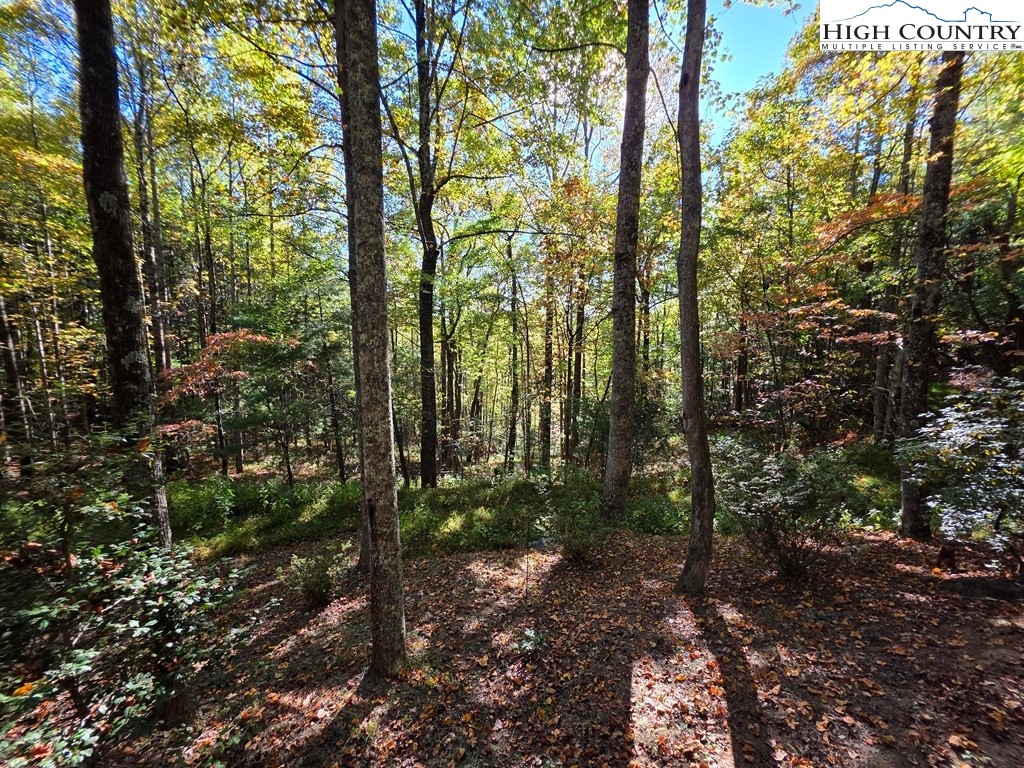 4091 Big Ivy Road Purlear, NC 28665 - Photo 30 of 40 a view of forest