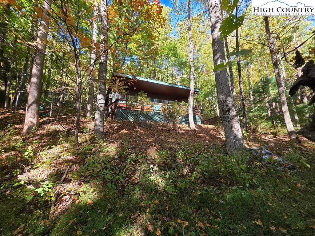 4091 Big Ivy Road Purlear, NC 28665 - Photo 3 of 40 a view of outdoor space and trees