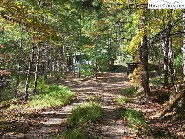 a view of outdoor space and trees