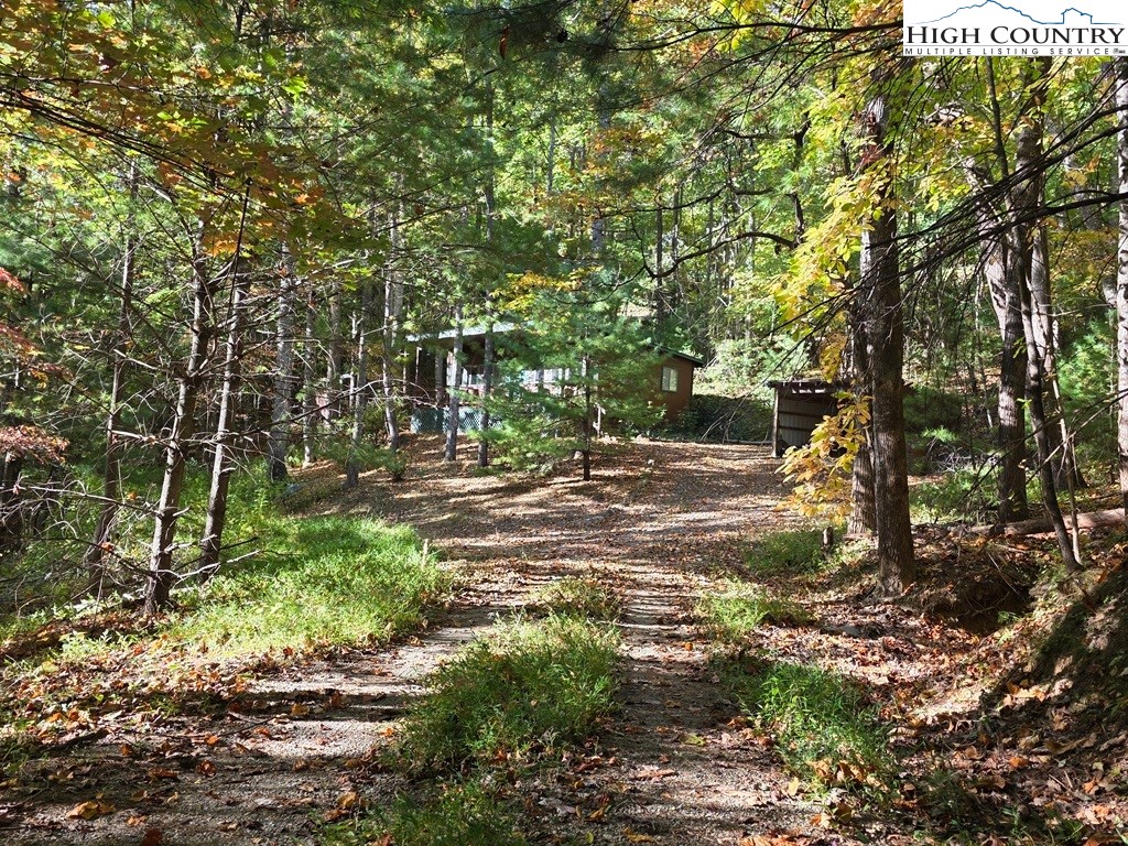 4091 Big Ivy Road Purlear, NC 28665 - Photo 32 of 40 a backyard of a house with lots of green space