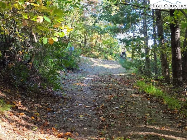 a view of a dirt road with trees