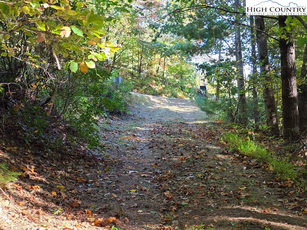 4091 Big Ivy Road Purlear, NC 28665 - Photo 34 of 40 a view of a yard with plants and large trees
