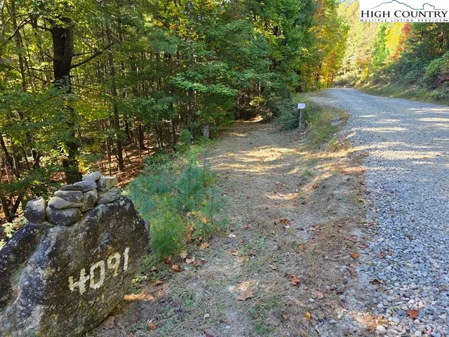 a view of outdoor space and garden