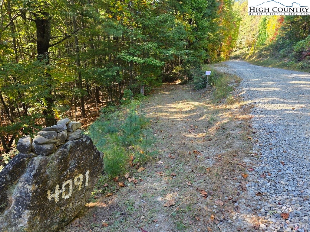4091 Big Ivy Road Purlear, NC 28665 - Photo 35 of 40 a view of a dirt road with trees