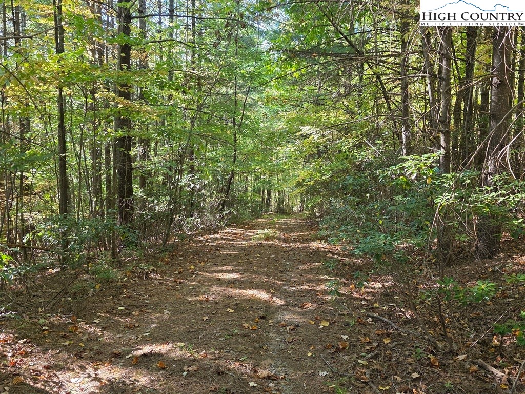 4091 Big Ivy Road Purlear, NC 28665 - Photo 36 of 40 a view of outdoor space and garden