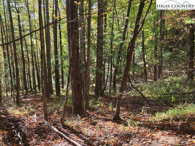 $200,000 | 4091 Big Ivy Road, Purlear, NC 28665