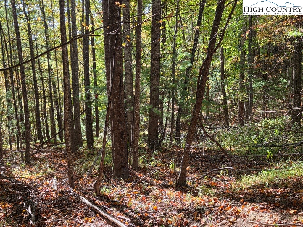 4091 Big Ivy Road Purlear, NC 28665 - Photo 38 of 40 a view of backyard with green space
