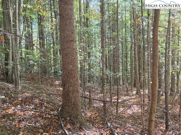 $200,000 | 4091 Big Ivy Road, Purlear, NC 28665