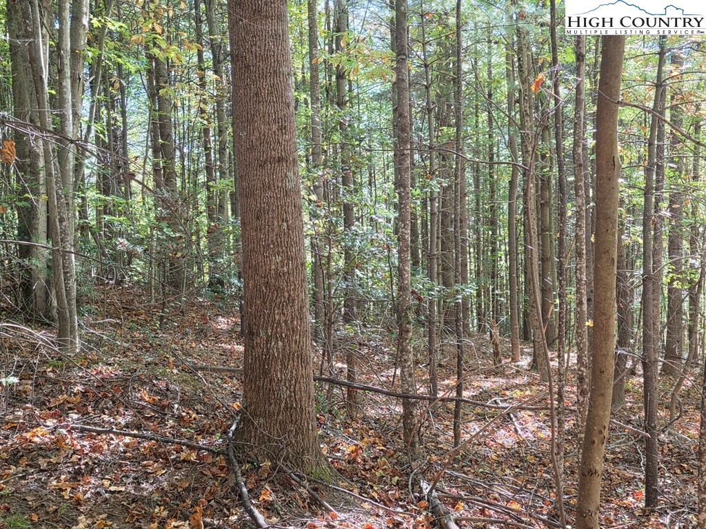 4091 Big Ivy Road Purlear, NC 28665 - Photo 39 of 40