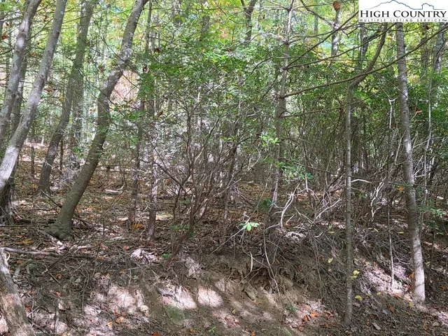 $200,000 | 4091 Big Ivy Road, Purlear, NC 28665