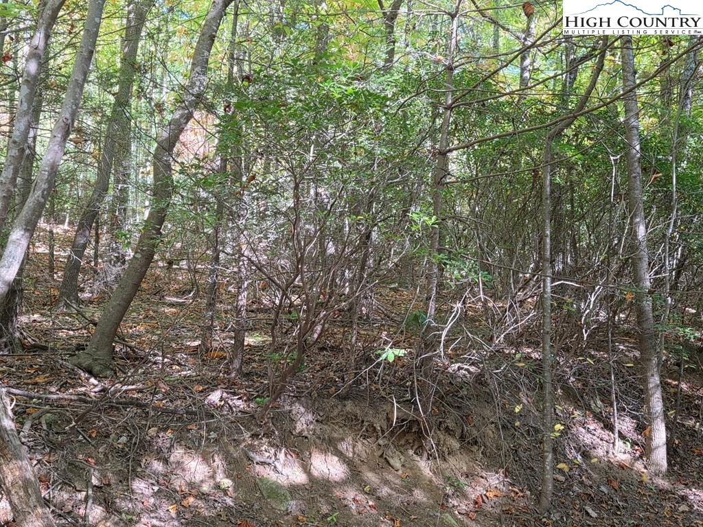 4091 Big Ivy Road Purlear, NC 28665 - Photo 40 of 40