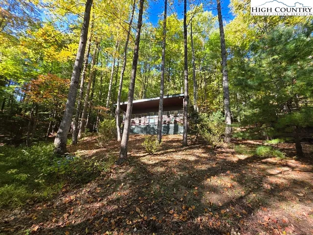a view of a yard with plants and trees