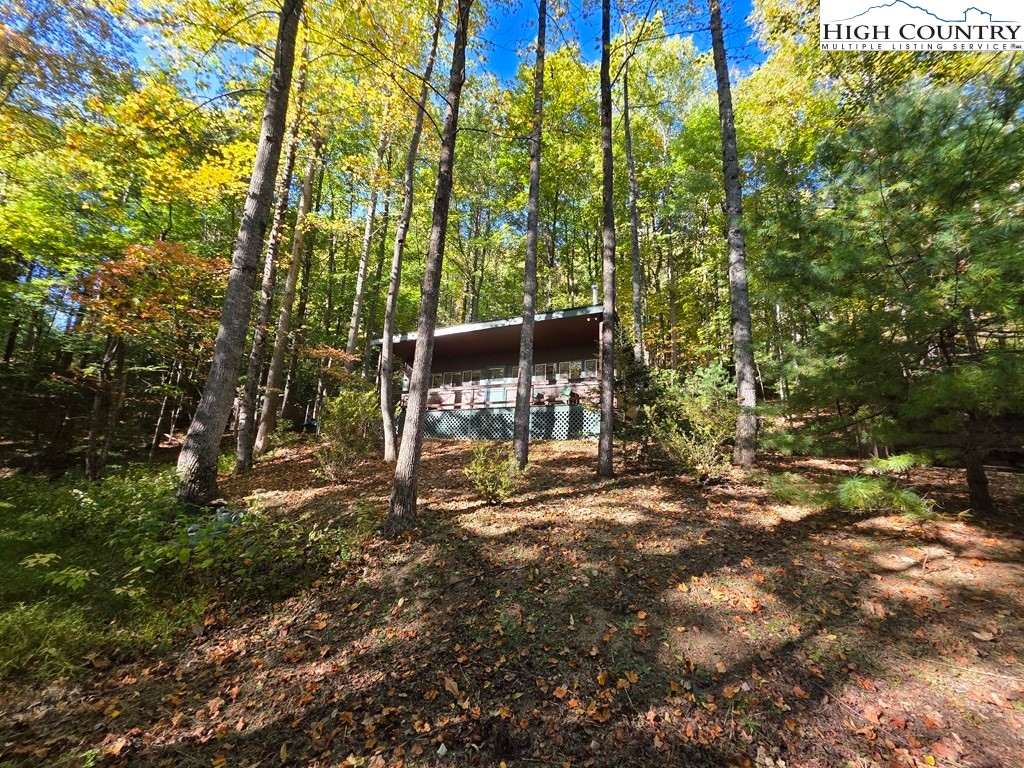 4091 Big Ivy Road Purlear, NC 28665 - Photo 5 of 40 a view of a yard with plants and trees