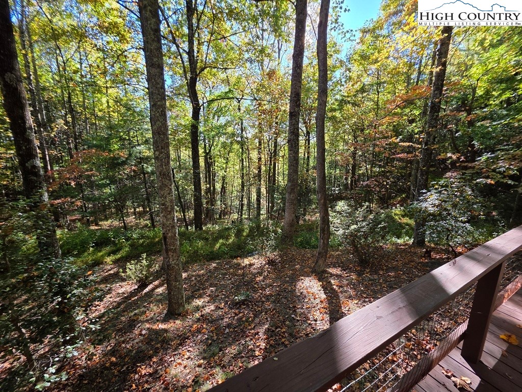 4091 Big Ivy Road Purlear, NC 28665 - Photo 8 of 40 a view of outdoor space and garden