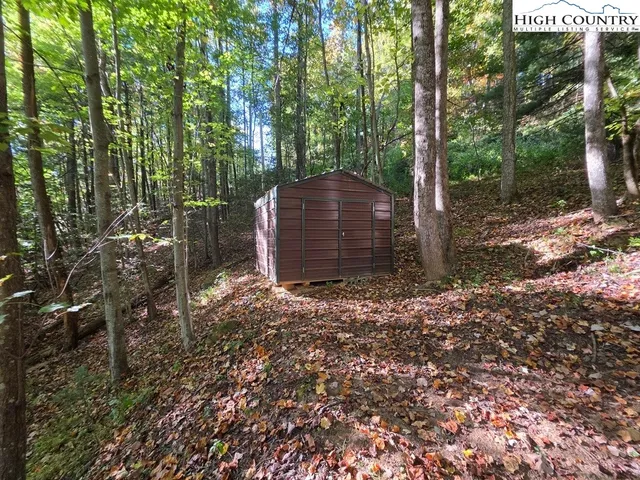 a view of a backyard with plants and large trees