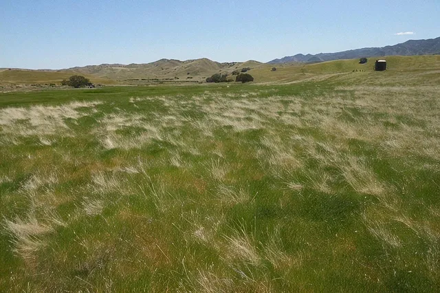 a view of a lake with a mountain