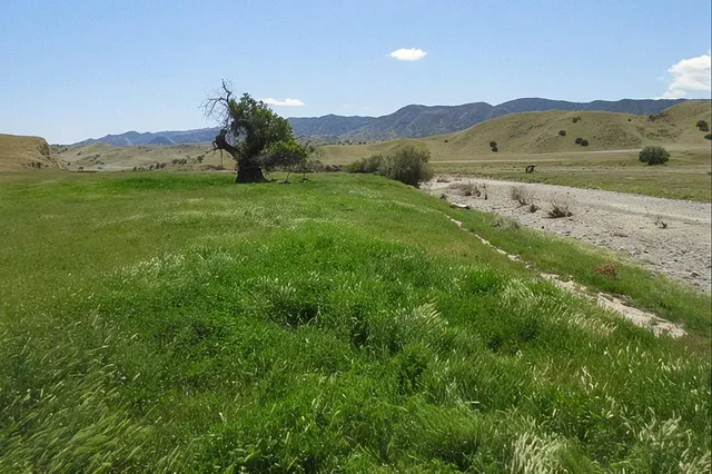 a view of a lush green hillside and houses