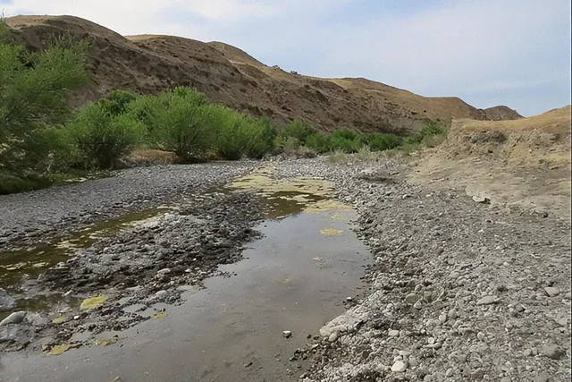 a view of a dry yard with mountains in the background