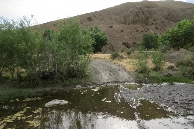 a view of a lake with a mountain