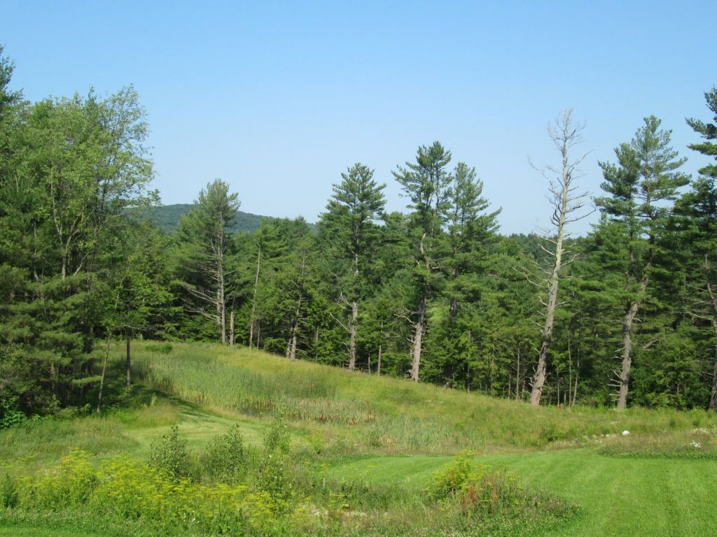 17 Paige Road Fairfax, VT 05454 - Photo 20 of 21