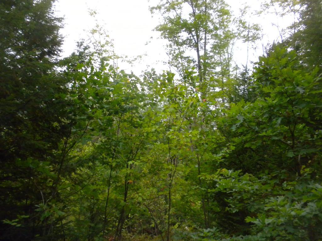7 River Road Limington, ME 04049 - Photo 16 of 26 Photo