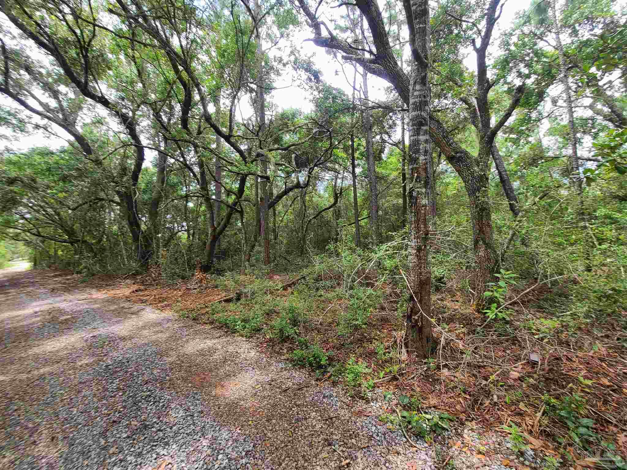 8855 Gerald Road Pensacola, FL 32507 - Photo 23 of 33 a view of a forest with trees