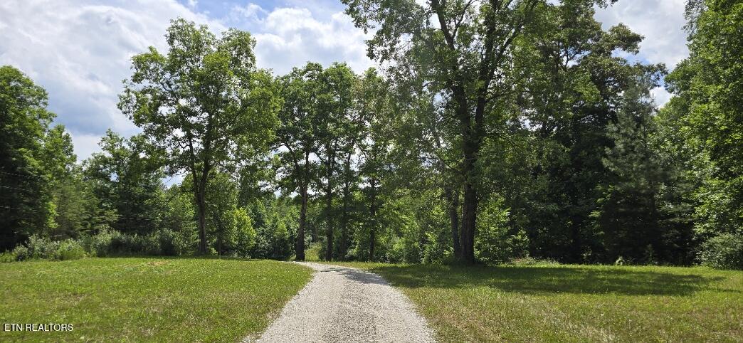 350 Rector Lane Helenwood, TN 37755 - Photo 4 of 21 20260616_144223