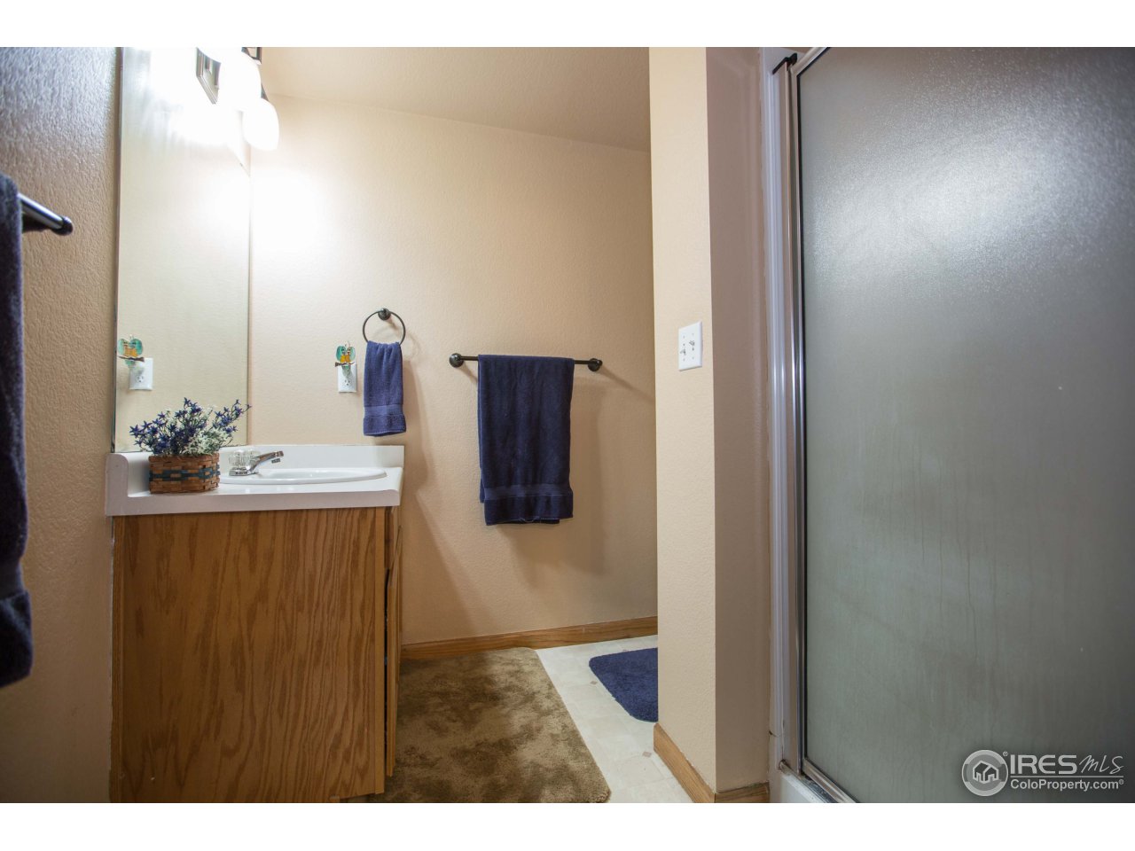 1115 West Swallow Road, Unit 7 Fort Collins, CO 80526 - Photo 15 of 20 Master Bathroom