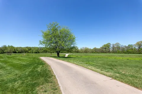 a view of a field of grass and trees