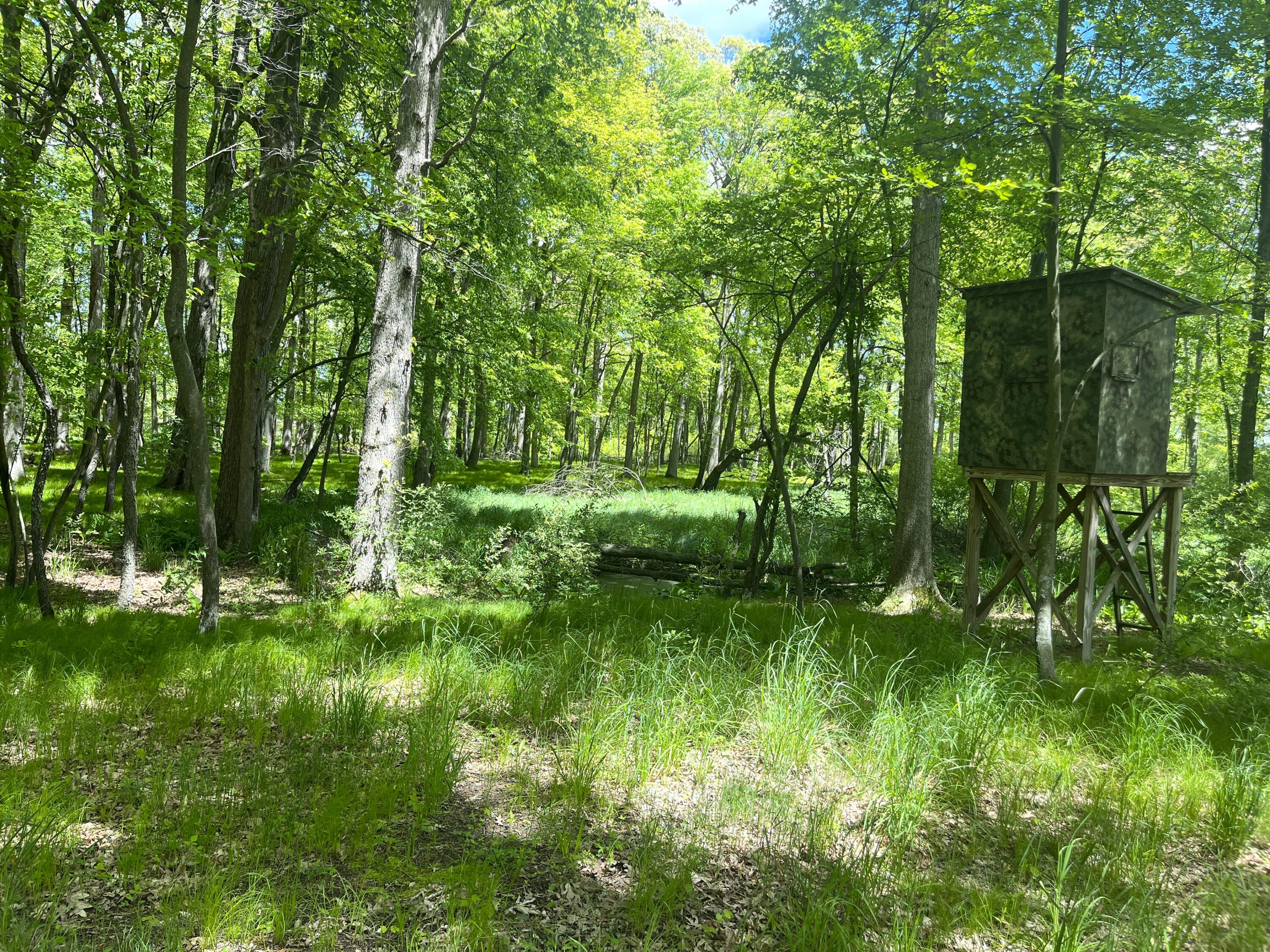 0 Struthers Road Grass Lake, MI 49240 - Photo 3 of 26 Struthers_01