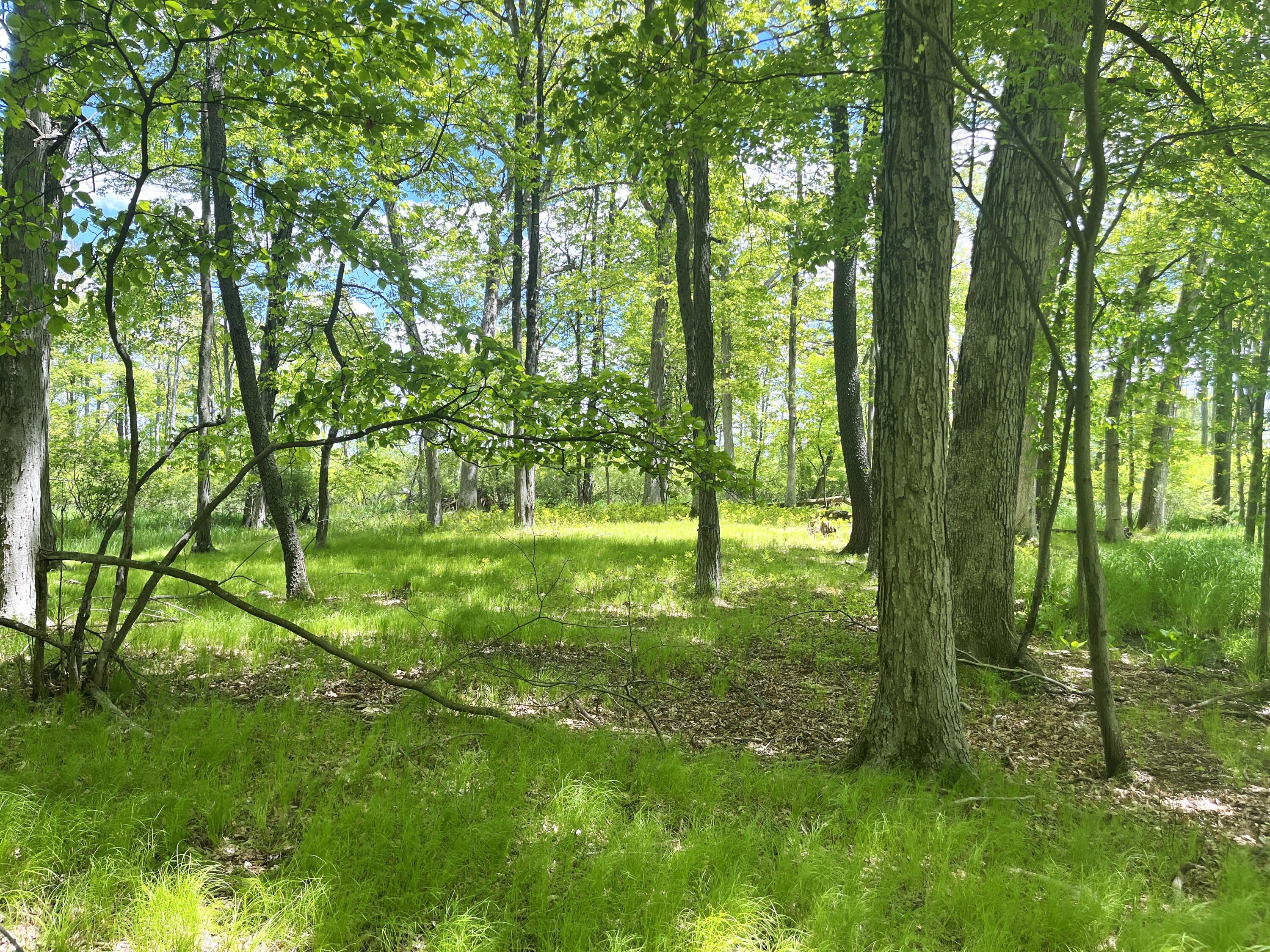 0 Struthers Road Grass Lake, MI 49240 - Photo 4 of 26 Struthers_02