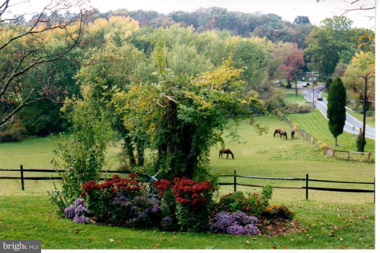2625 Daisy Road Woodbine, MD 21797 - Photo 17 of 21 Pasture