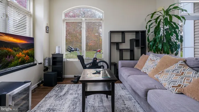 a living room with furniture a flat screen tv and a potted plant