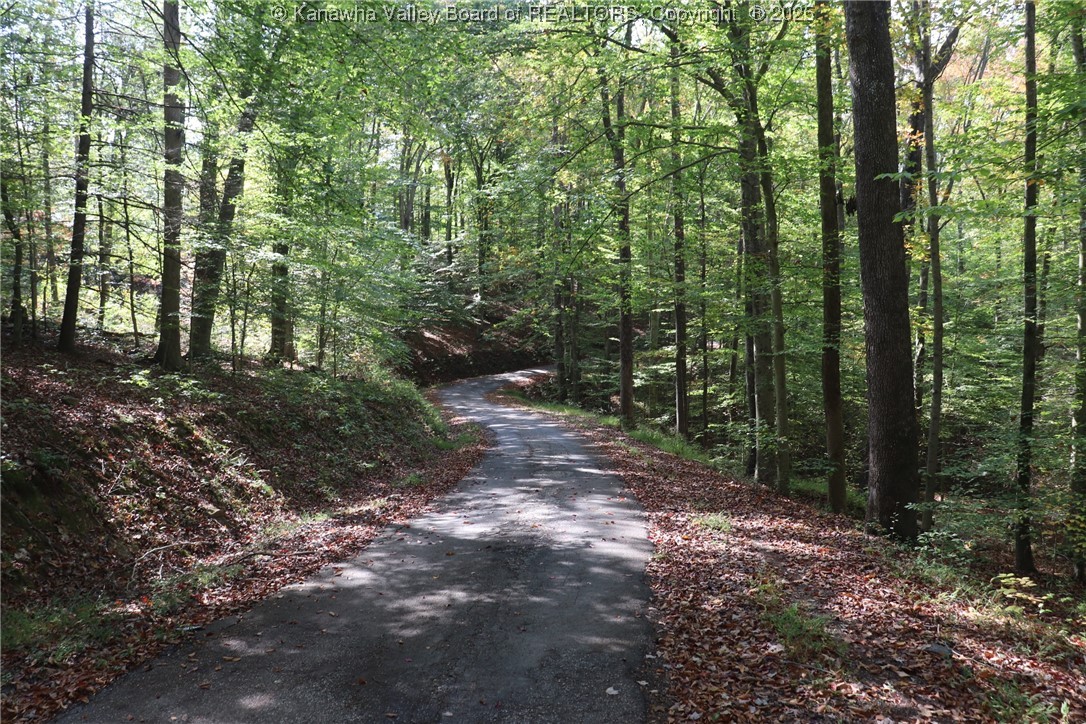 0 Route 26 Road Maysel, WV 25133 - Photo 4 of 46 Gallery Image 4