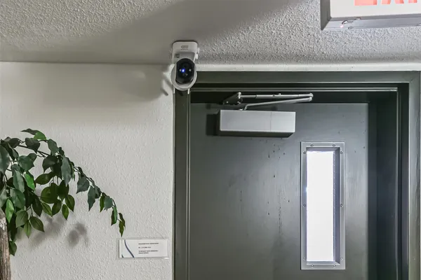 a view of a hallway with potted plants