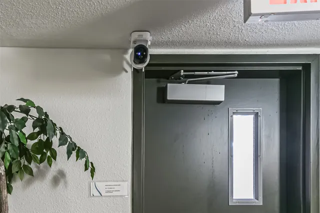 a view of a hallway with potted plants