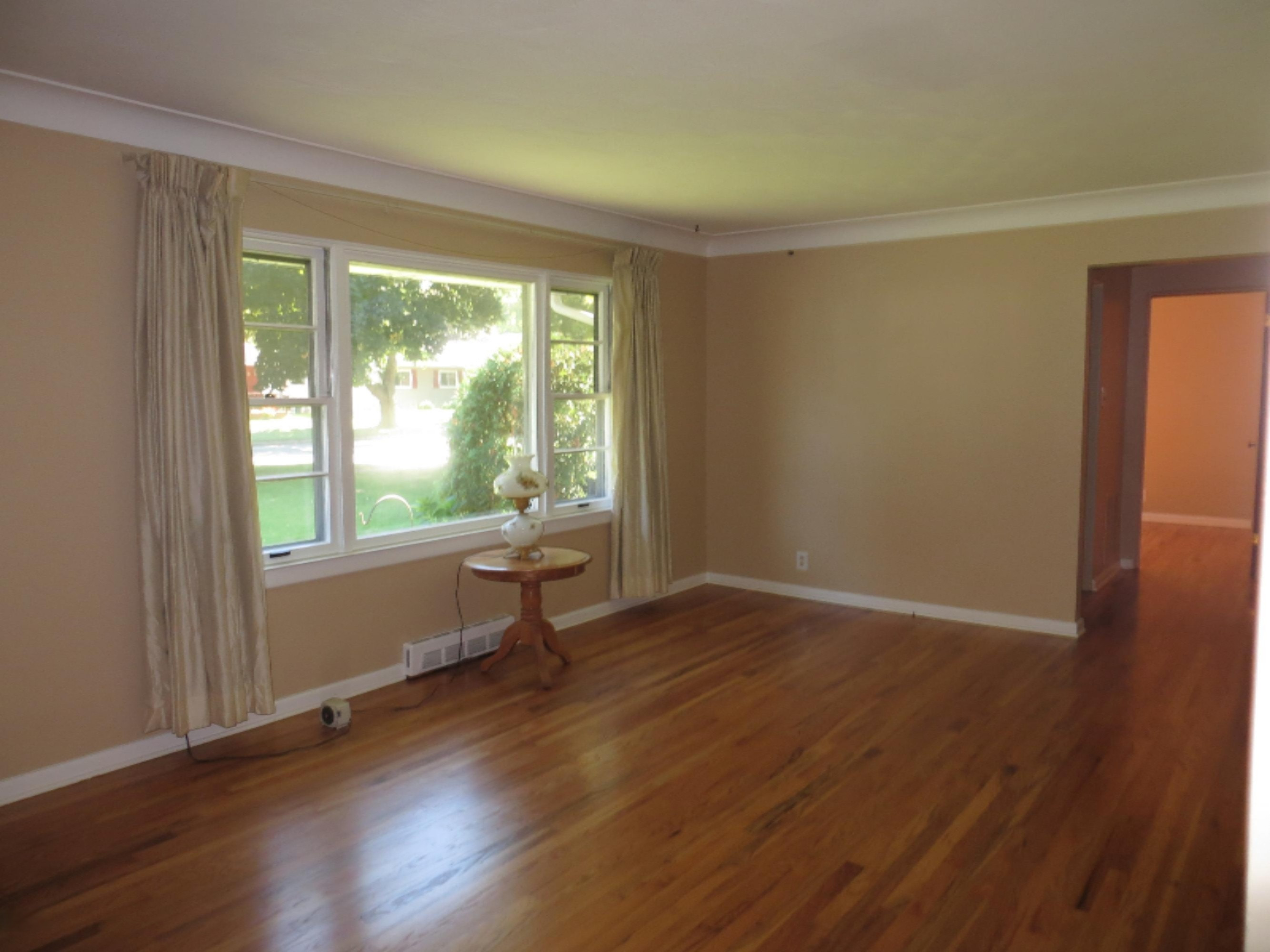 520 North Douglas Avenue Three Rivers, MI 49093 - Photo 11 of 19 Living Room