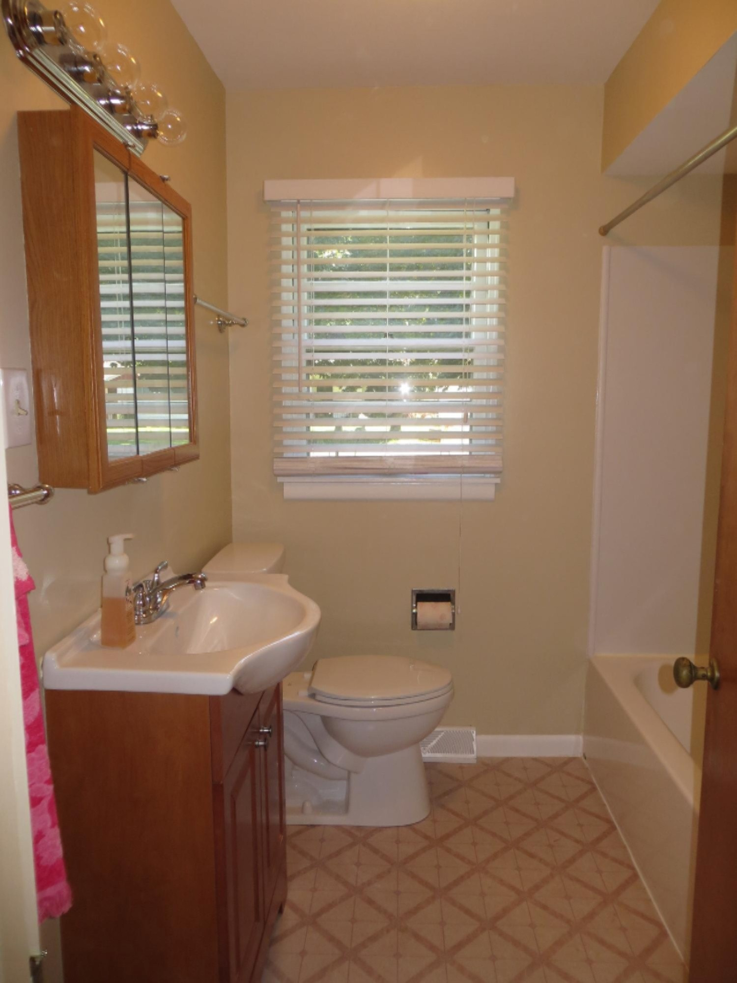 520 North Douglas Avenue Three Rivers, MI 49093 - Photo 16 of 19 Bathroom